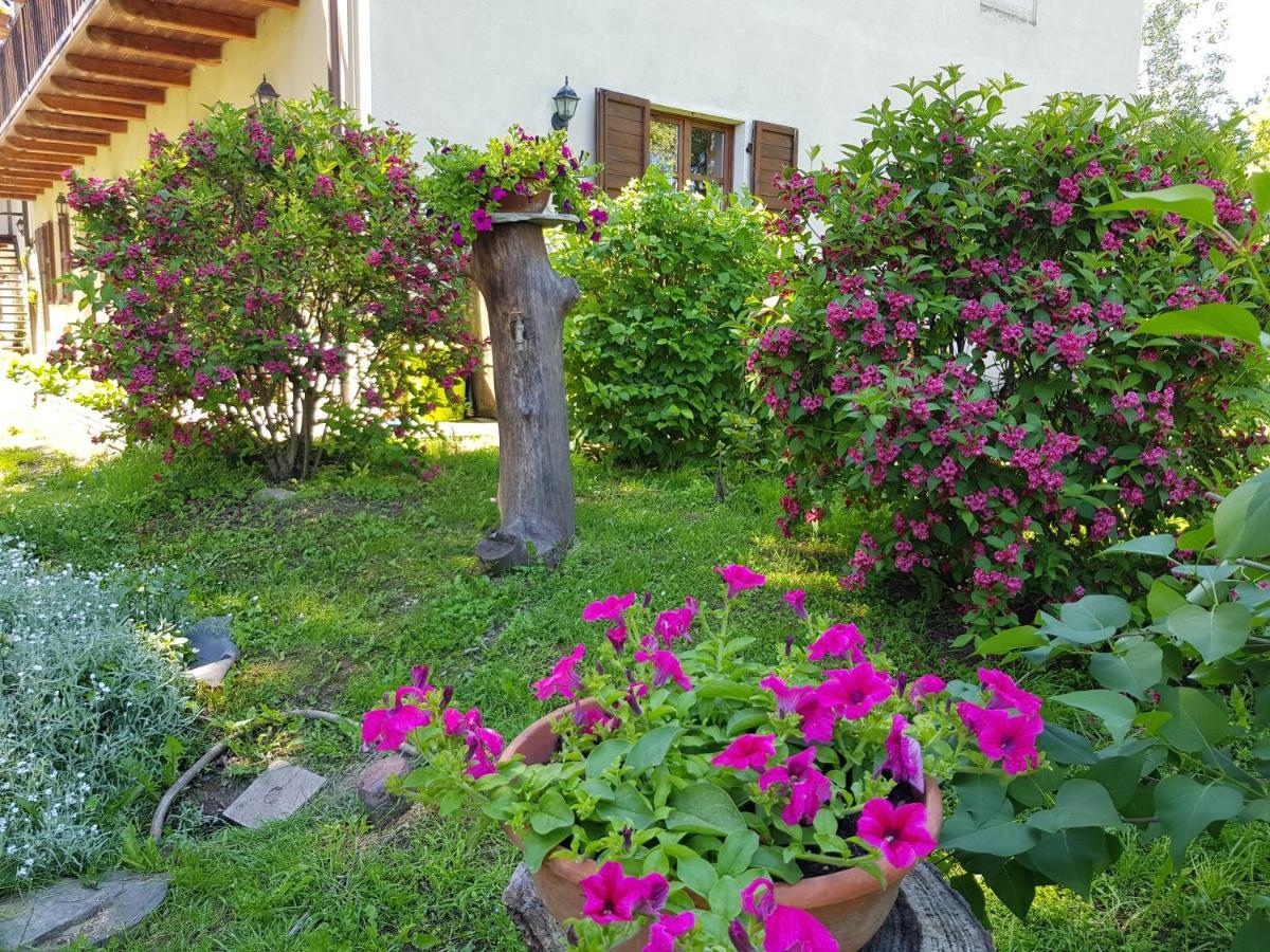 Pocapaglia La Collina Dei Passeri B&B 외부 사진