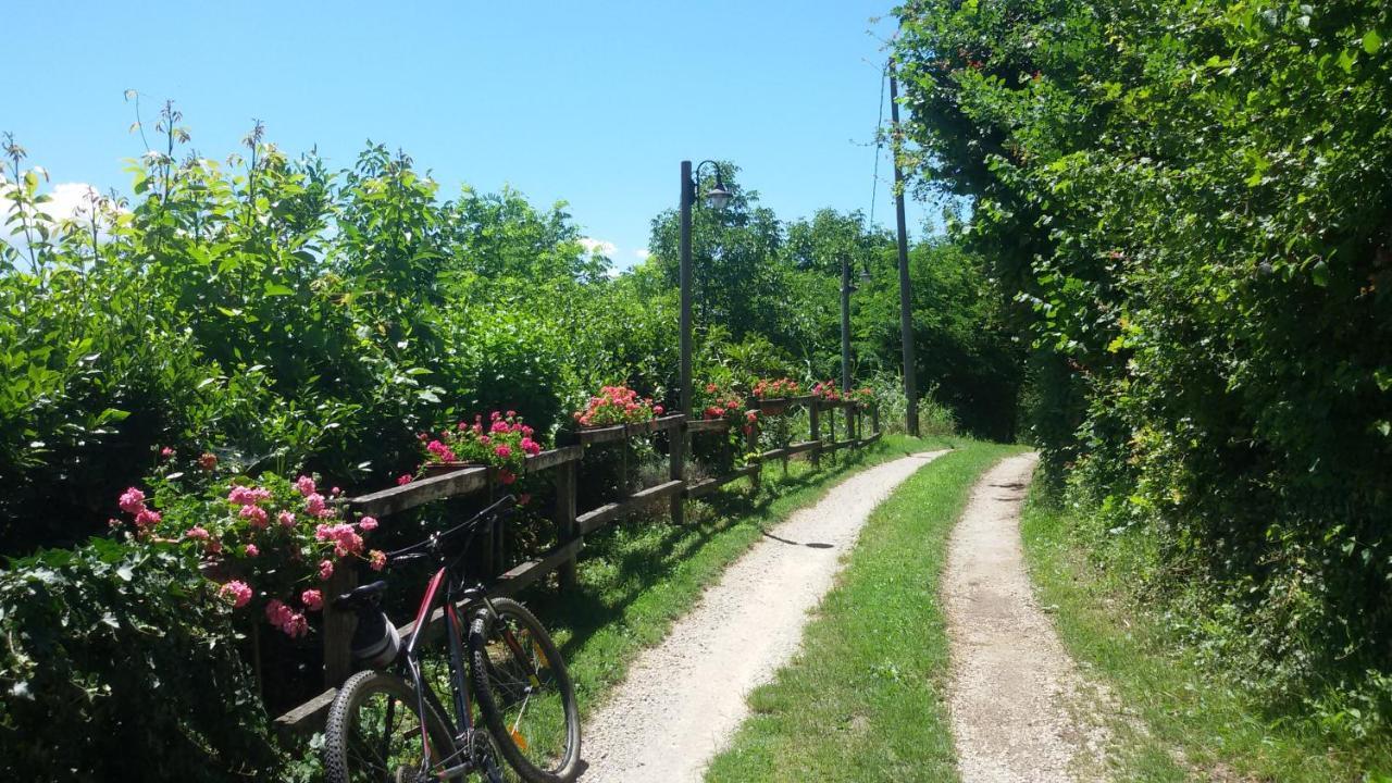 Pocapaglia La Collina Dei Passeri B&B 외부 사진